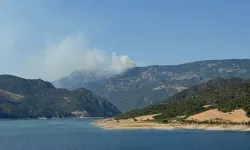 Sinop’ta orman yangını: Köy tahliye edildi