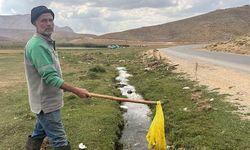 Piknik ve kamp için gelip çöplerini bıraktılar çobanlar bile isyan etti
