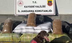 Kimlik kontrolü için durdurulan otobüsten 230 kilogram kaçak tütün çıktı