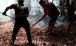 Ordu’da çıkan yangın ekipler sayesinde söndürüldü