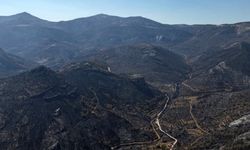 Orman yangınından geriye kalan acı manzara