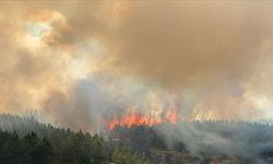 Kastamonu'da orman yangını