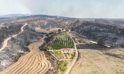 Gelibolu yangınında herkesin yüreğini ferahlatan görüntü