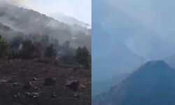 Yüksekova Dağlıca köyünde orman yangını