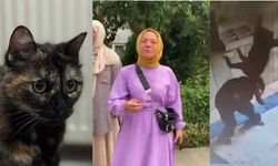 'Cezve' isimli kediyi vahşice katleden Burak Alan tutuklandı