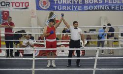 Boksta şampiyonlar belli oldu