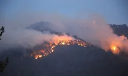 Denizli'de 3 gündür süren yangın ilçeleri tehdit ediyor