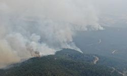 Kastamonu'daki orman yangını havadan görüntülendi