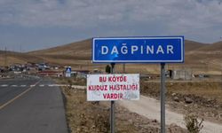 Kuduz tehdidi: O ilçe karantinaya alındı