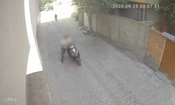 Diyarbakır'da mahalleye musallat olan hırsızlara 'Zincir Operasyonu'