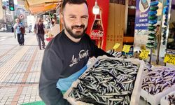 Hamsi Rize'de tezgaha düştü