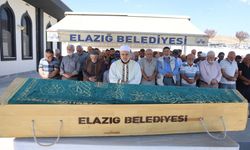 Yarım saat ara ile 2 otomobilin çarptığı yaşlı adam hayatını kaybetti