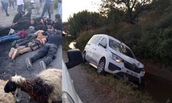Koyun sürüsüne çarpan insan kaçakçısı, aracı ve göçmenleri bırakıp kaçtı