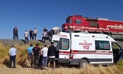Elazığ'da tren kamyonete çarptı: 1 yaralı