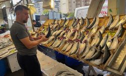 Su Ürünleri Derneği: En güvenilir protein kaynağı sularda