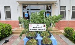 Zehir tacirlerine darbe