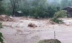 Artvin'de sağanak yağış sele neden oldu