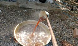 Geleneksel pekmez mesaisi başladı