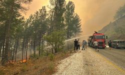 Muğla'da alevlerle 36 saatlik savaş