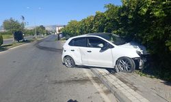 Refüjdeki ağacı deviren otomobil duvara çarparak durabildi: 1 yaralı
