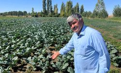 Çiftçilerin kullandığı kuyu suları 2 metreye kadar indi