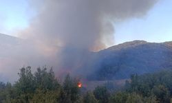 Burdur'da orman yangını