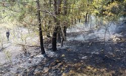 Kastamonu'da ormanlık alanda çıkan yangın ekiplerin müdahalesiyle söndürüldü