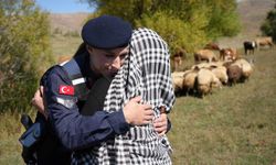 Bayburt’ta kaybolan 13 koyun jandarma ekiplerince dağda bulundu