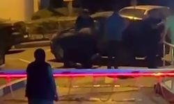 Başakşehir'de alkollü şahıs polis ekiplerine zor anlar yaşattı