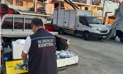 Usulsüz hamsi çıkışına 37 bin TL ceza