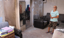 Torunu ve oğlu ile çadırda yaşam mücadelesi veriyor