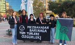 Eskişehir’de vegan topluluğundan hayvan hakları tepkisi