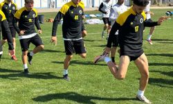 Taşlar yerine oturuyor