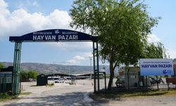 Eskişehir'de şap hastalığı tespit edildi! Hayvan Pazarı geçici süreyle kapatıldı