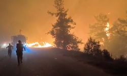 Alanya'da orman yangını