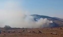 Çankırı'da çıkan orman yangını kontrol altına alındı