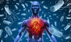 Her 5 ölümden 1'inin sebebi, sepsis