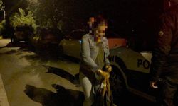 Tartıştığı erkek arkadaşını göğsünden bıçakladı: 1 yaralı