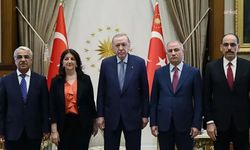 DEM Parti İmralı Heyeti Cumhurbaşkanı Erdoğan ile görüşecek