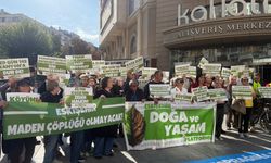 Doğa ve Yaşam Platformu: “Vahşi madenciliğe karşı mücadelemiz sürecek”