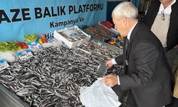 Denizlerde balık bolluğu: Hamsinin fiyatı 89 liraya düştü