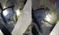 Sındırgı’da enkaz altında kalan eşek canlı kurtarıldı