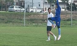 Bosna'dan teklif aldı