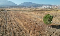 BYD'nin Manisa'daki fabrika sahasında sessizlik sürüyor
