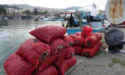 Palamut gibi onun da avı balıkçıları hüsrana uğrattı