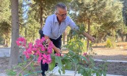 Oğlunu kaybettikten sonra ömrünü adadığı mezarlığı adeta parka dönüştürdü