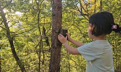 5 yaşındaki Bensu, fotokapanla yaban hayatını görüntülüyor