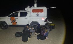 29 düzensiz göçmen yakalandı