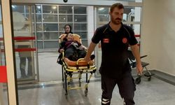 Otomobil ile kamyonet çarpıştı: 3 yaralı