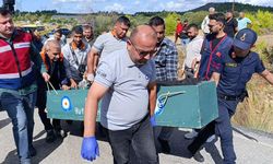 Çöp kamyonunda korkunç cinayet